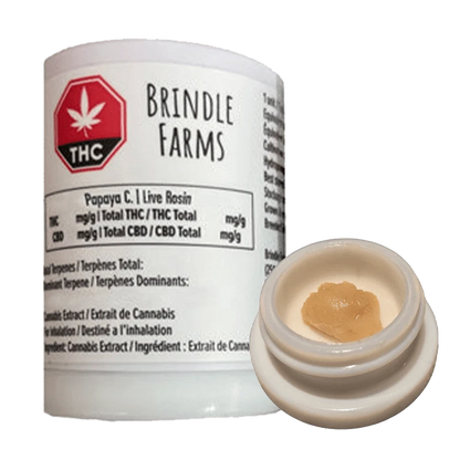 Close-up of Brindle Farms Papaya C. Live Rosin, a golden, viscous substance displayed in a clear container.