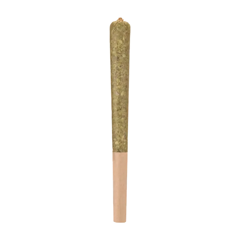 A close-up, side view of the Country Club Infused Pre Rolled 1 x 1 g, showcasing its cylindrical form and textured paper wrapping.
