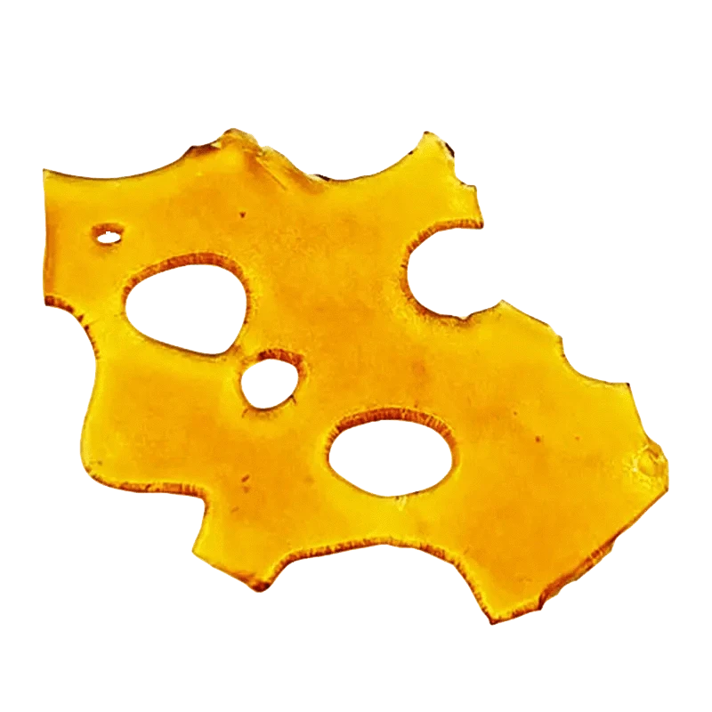 Close-up shot of golden Alaskan Thunder Shatter, with a translucent, fragmented texture visible against a plain white background.
