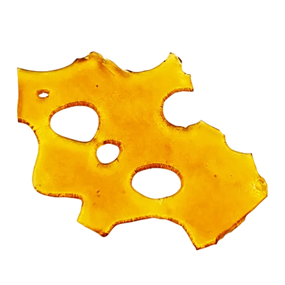 Close-up shot of golden Alaskan Thunder Shatter, with a translucent, fragmented texture visible against a plain white background.