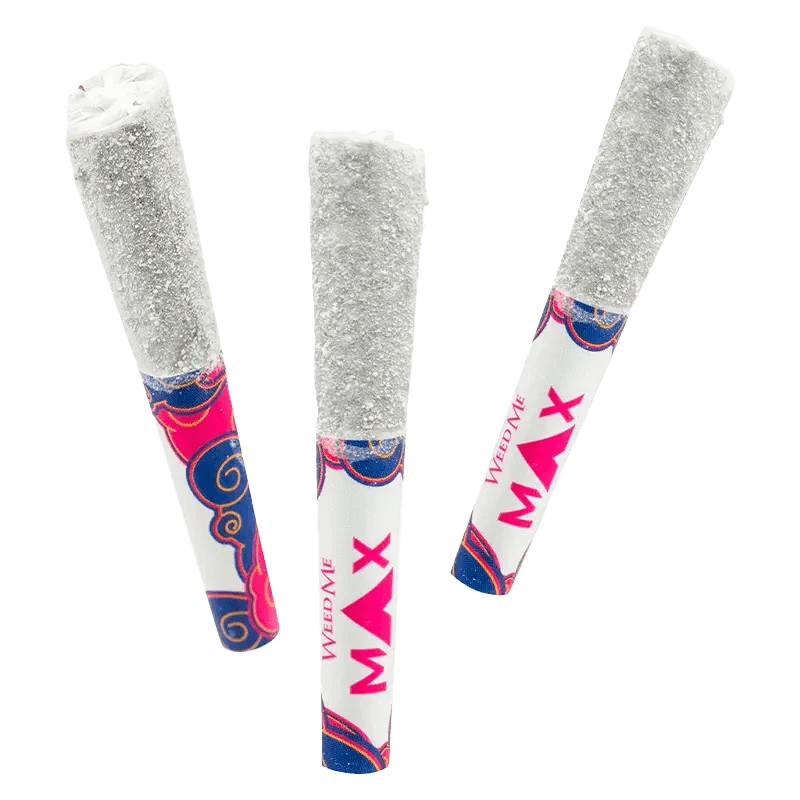 Three angled THCa Electric Apple Infused PR 3 x 0.5 g pre-rolls with white crystalline tips and colorful pink-and-blue branded filters visible.