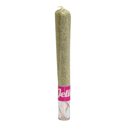 Vertical front view of a rolled joint with a pink label reading "Jelly", titled Hash Hole Infused PR 1 x 2 g, shown against a plain white background