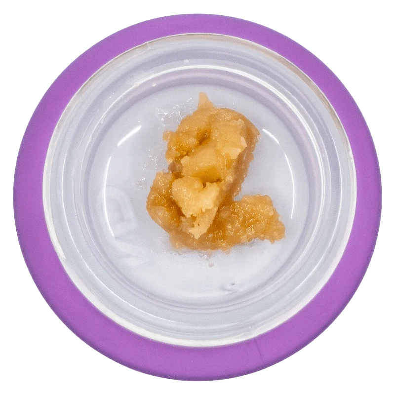Top-down view of a small amber concentrate inside a white dish with a purple rim, labeled Cured Resin – Tangerine Punch Badder XL.