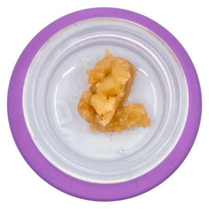 Top-down view of a small amber concentrate inside a white dish with a purple rim, labeled Cured Resin – Tangerine Punch Badder XL.