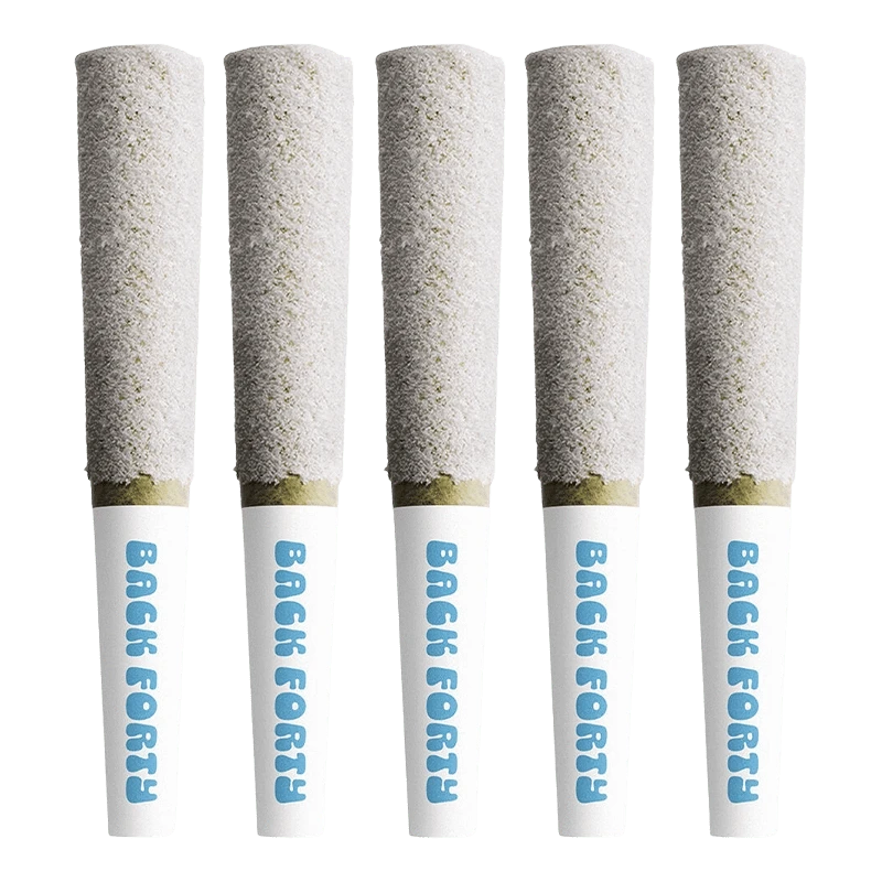 Five upright Frosted Icicles - White Freeze Infused PR 5 x 0.5 g pre-rolls in a row, close-up on their frosted white tips and branded "Back Forty" filters.