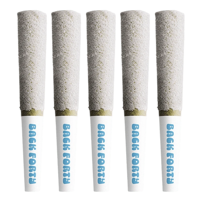 Five upright Frosted Icicles - White Freeze Infused PR 5 x 0.5 g pre-rolls in a row, close-up on their frosted white tips and branded "Back Forty" filters.