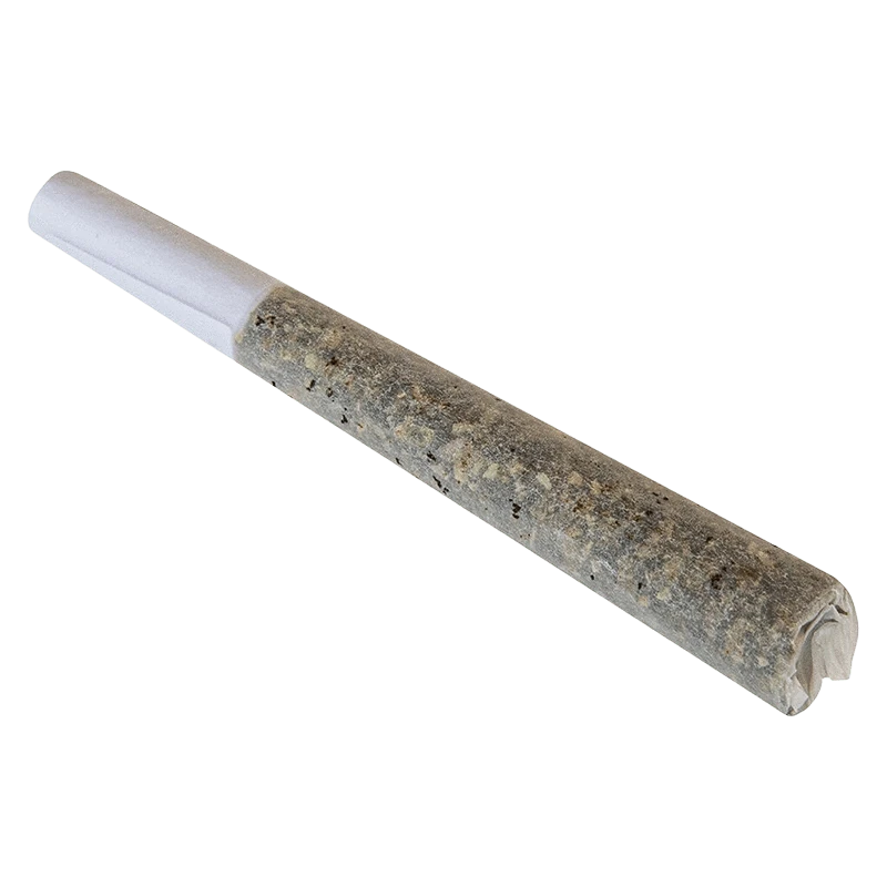 Angled close-up of a rolled joint labeled Nostalgia - Aged Sticky Hash Infused PR 1 x 1 g, showing the textured dark hash-filled paper and white filter end.