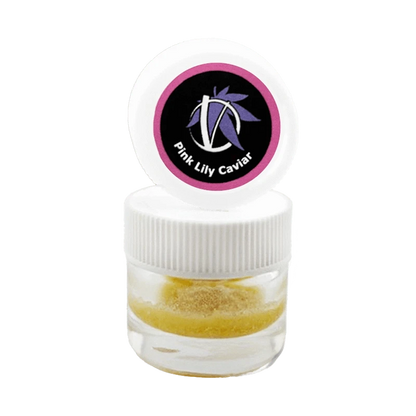 Close-up front view of a small clear jar with a white ribbed lid and open cap showing the Pink Lily Caviar logo above a golden powder inside.