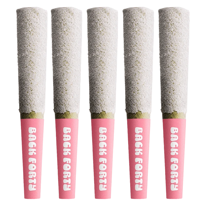 Row of five upright Strawberry Pink Infused PR 5 x 0.5 g pre-rolls with pink "Back Forty" tips against a white background.