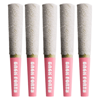 Row of five upright Strawberry Pink Infused PR 5 x 0.5 g pre-rolls with pink "Back Forty" tips against a white background.