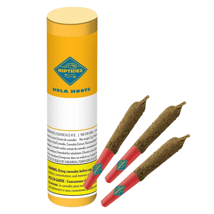 Cylindrical yellow tube standing upright next to three red‑tipped Hula Hoots Infused PR 3 x 0.4 g pre-rolls arranged diagonally on a plain background.