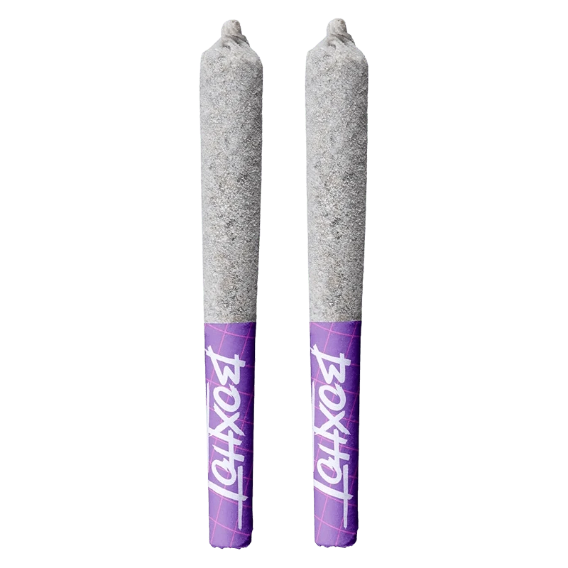 Top-down view of two ash-coated pre-rolls with purple tipped filters, Diamond Doobies - Code Blue Infused PR 2 x 0.5 g