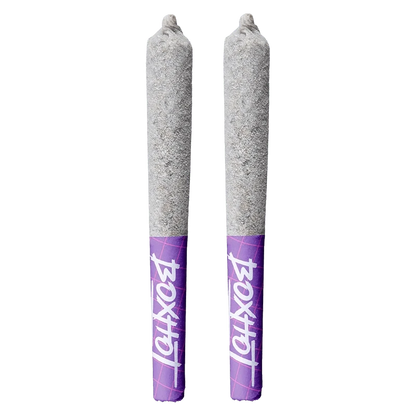 Top-down view of two ash-coated pre-rolls with purple tipped filters, Diamond Doobies - Code Blue Infused PR 2 x 0.5 g