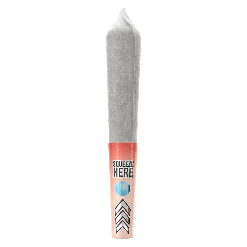 Center-aligned studio shot of a rolled joint with a pink "Squeeze Here" tip labeled Mini Burst Black Cherry Infused PR 5 x 0.5 g.