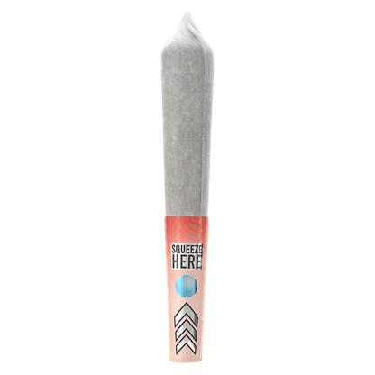 Center-aligned studio shot of a rolled joint with a pink "Squeeze Here" tip labeled Mini Burst Black Cherry Infused PR 5 x 0.5 g.