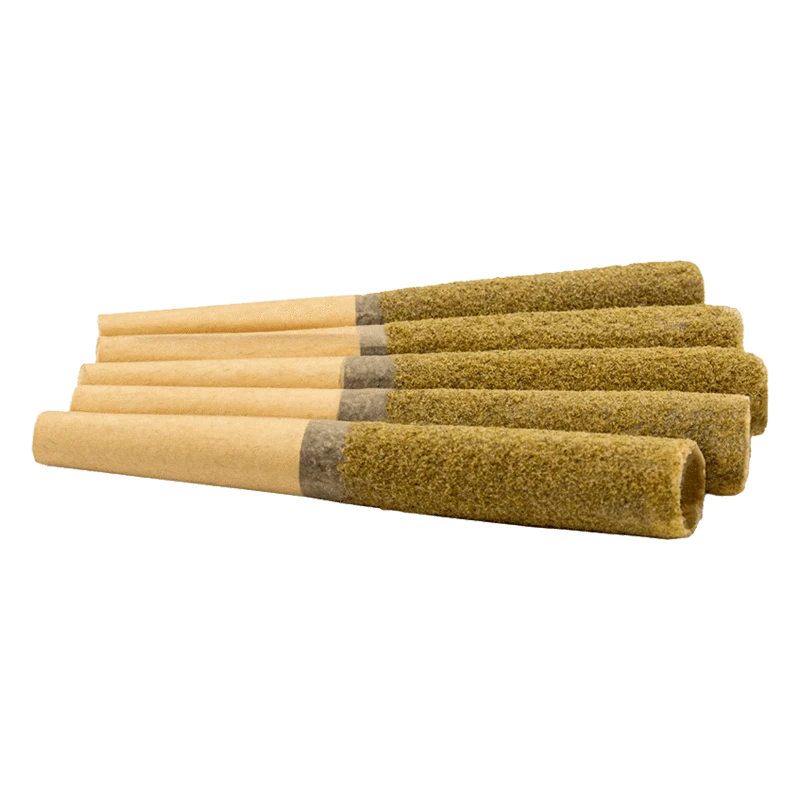 Low-angle close-up of six Papaya Punch Diamond Infused PR 5 x 0.5 g pre-rolls laid side by side showing textured greenish coating and brown papers.