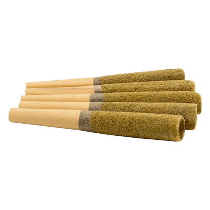 Low-angle close-up of six Papaya Punch Diamond Infused PR 5 x 0.5 g pre-rolls laid side by side showing textured greenish coating and brown papers.