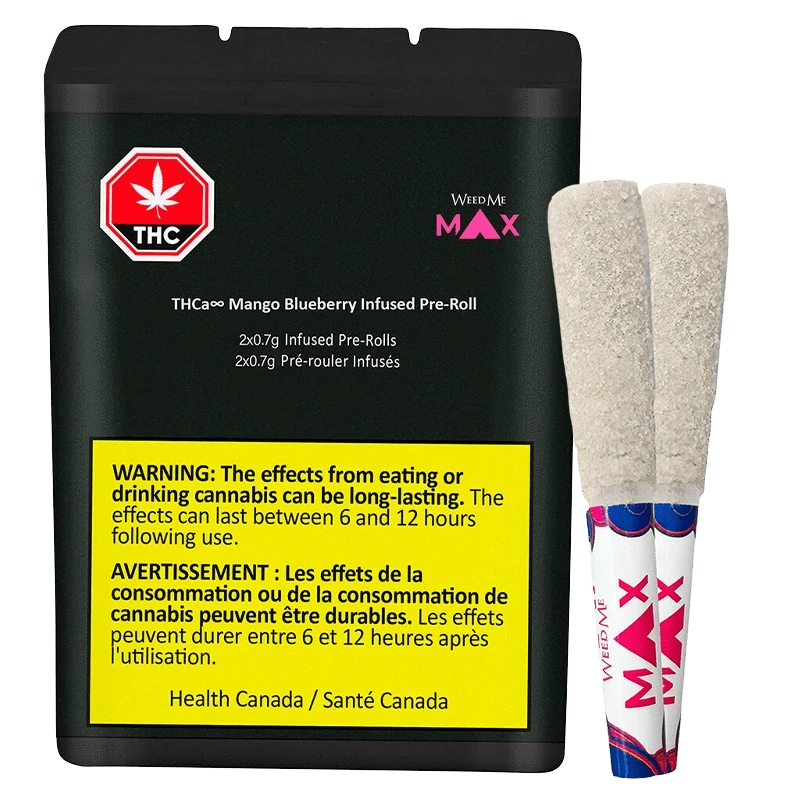 Front-facing image of a black tin and two coated pre-rolls labeled "THCa Mango Blueberry Infused PR 2 x 0.7 g" with a bright yellow warning panel.