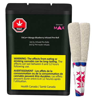 Front-facing image of a black tin and two coated pre-rolls labeled "THCa Mango Blueberry Infused PR 2 x 0.7 g" with a bright yellow warning panel.