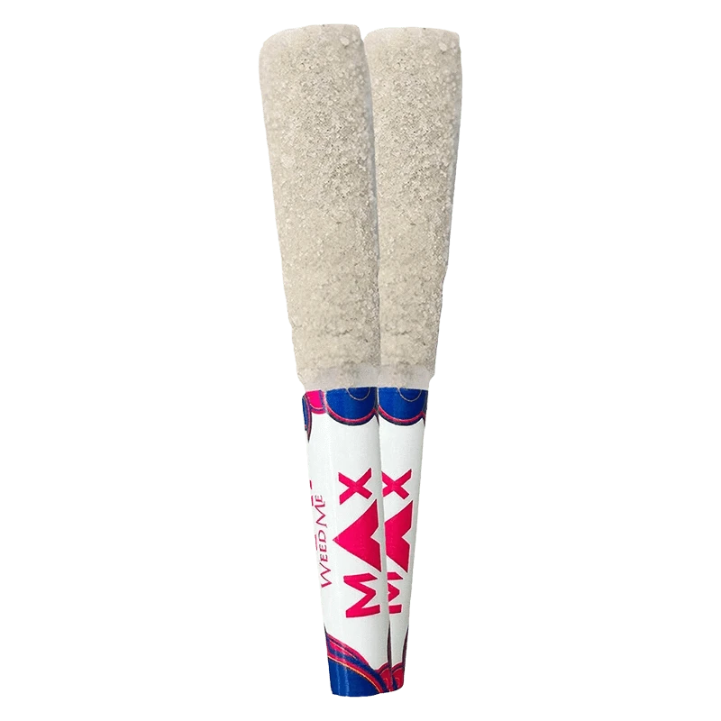 Top view of two sugar-coated joints labeled THCa Mango Blueberry Infused PR 2 x 0.7 g standing side by side with white and pink branded tips.