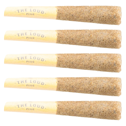 Horizontal stacked view of five cone-shaped Drippyz Cocolicious Infused PR 5 x 0.5 g pre-rolls showing textured brown tips and pale filters.