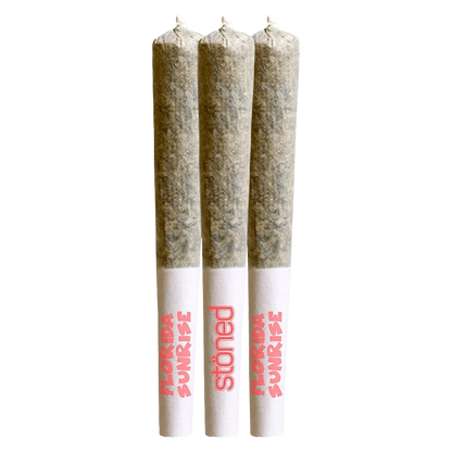 Top-down view of three pre-rolled joints labeled "Florida Sunrise Infused PR 3 x 0.5 g" standing side by side on a white background.