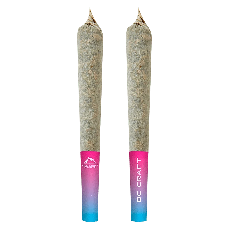 Front-facing pair of Diamond Blaze Cosmic Cherry Infused PR 3 x 0.5 g pre-rolls with pink-to-blue gradient tips against a plain white background