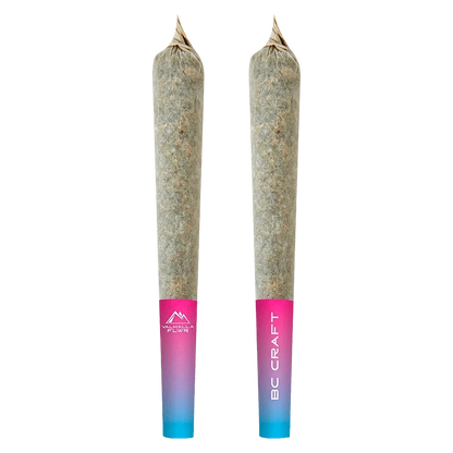 Front-facing pair of Diamond Blaze Cosmic Cherry Infused PR 3 x 0.5 g pre-rolls with pink-to-blue gradient tips against a plain white background