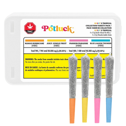 Front view of a white tray labeled "Tropical x Burst Collect Variety Infused PR 4 x 0.5 g" with four glittery cone tips and orange, yellow, pink, and blue filter ends.