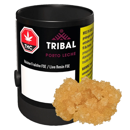 Angled front view of a black canister labeled "TRIBAL PORTO LECHE" with a pile of golden live resin crystals in front.