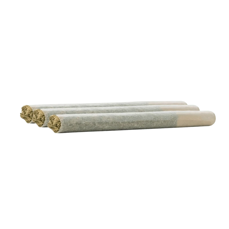 Low-angle close-up of three pre-rolled joints labeled Blue Goo Infused PR 3 x 0.5 g arranged side-by-side on a plain background