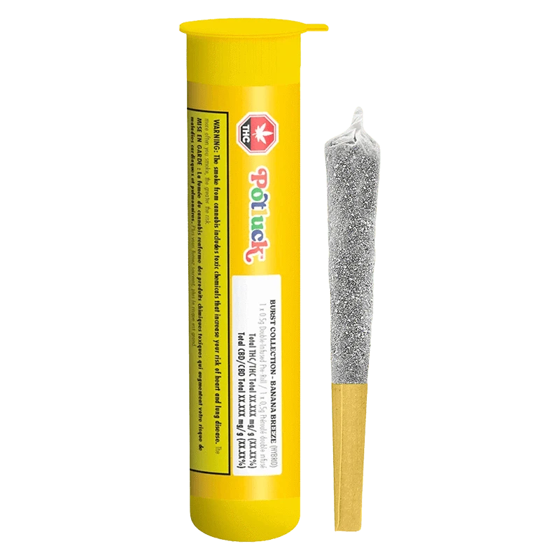 Vertical studio shot of the bright yellow Banana Breeze Infused PR 1 x 0.5 g tube standing beside a silver-coated pre-roll.