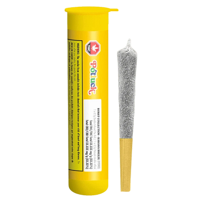 Vertical studio shot of the bright yellow Banana Breeze Infused PR 1 x 0.5 g tube standing beside a silver-coated pre-roll.