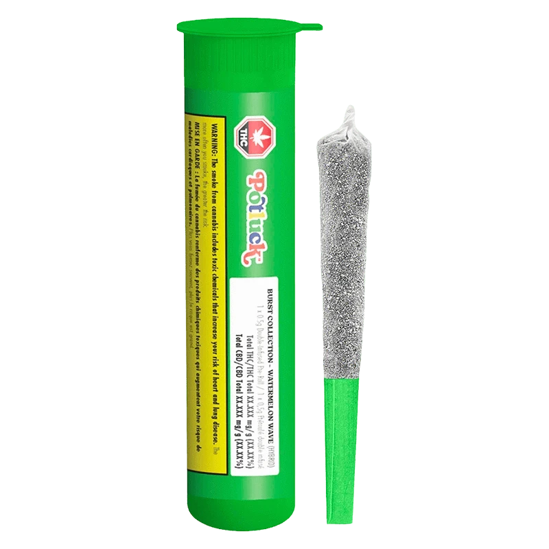 Vertical studio shot of a green tube and sugar-coated pre-roll beside it, showing the label on the Watermelon Wave Infused PR 1 x 0.5 g packaging.