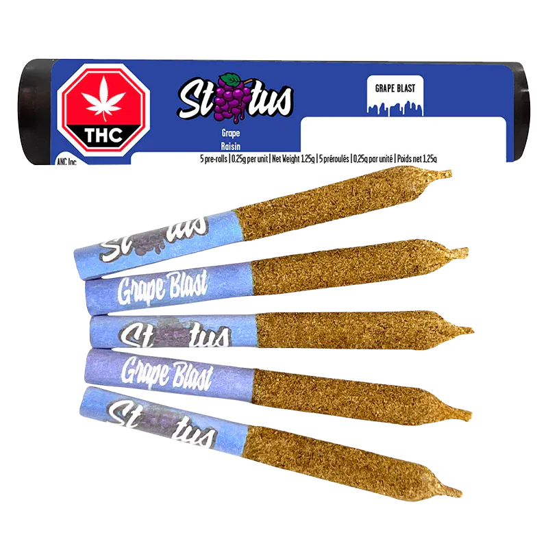 Angled top-down view of five kief-coated Status Grape Blast Liquid Diamond Infused kief coated PR 5 x 0.25 g pre-rolls with blue grape Blast tips and a matching blue label tube.
