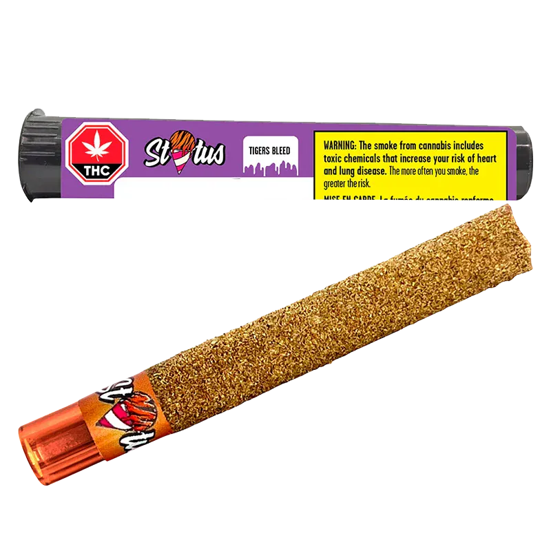 Angled close-up of a glittery, gold kief-coated pre-roll with an orange tip and its purple "Tigers Bleed Liquid Diamond Infused kief coated PR 1 x 1 g" tube shown above.