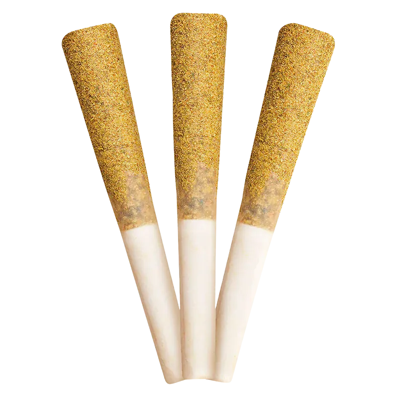 Close-up of three upright Berry Burst Diamond Infused PR 3 x 0.5 g cones with gold dusted tips against a white background