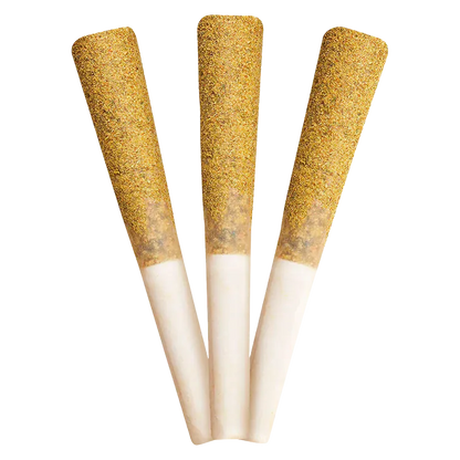 Close-up of three upright Berry Burst Diamond Infused PR 3 x 0.5 g cones with gold dusted tips against a white background