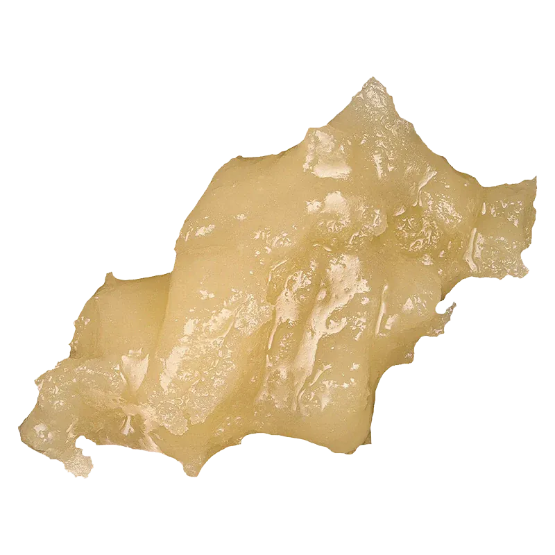 Close-up of a glossy pale golden dab of Signature Black Maple Live Rosin shown from above on a white background