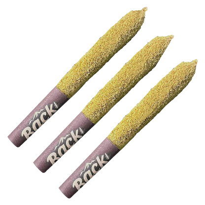 Back Country Organics 1.5 g Apricot Kush Live Rosin Kief Coated Infused PR 3 x 0.5 g Pre-Rolls