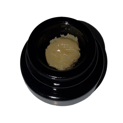 Top-down view of a black jar containing a pale, creamy concentrate labeled The Hive Live Rosin.
