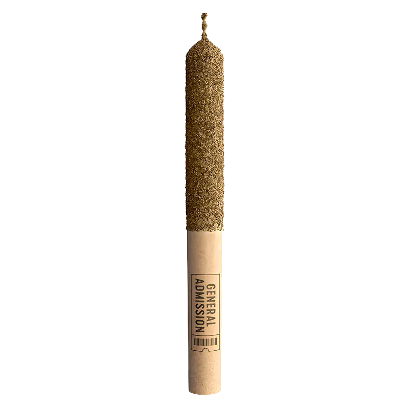 Vertical studio shot of the Cherry Watermelon Infused PR 1 x 1 g pre-roll with a textured brown tip and ticket-style paper band.