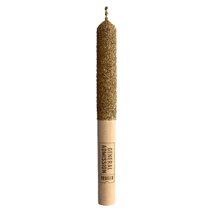Vertical studio shot of the Cherry Watermelon Infused PR 1 x 1 g pre-roll with a textured brown tip and ticket-style paper band.