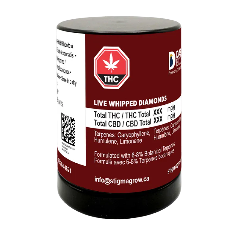 Front three-quarter view of a maroon-labeled jar of Sherbet Queen Live Whipped Diamonds showing the white THC symbol, ingredient text, and contact info.