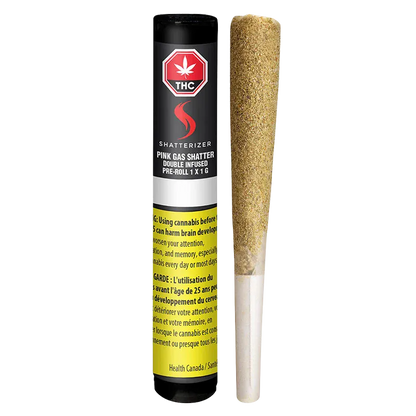 A front-facing shot of the Pink Gas Shatter Double Infused PR 1 x 1 g tube standing beside the pre-roll on a white background, label and yellow health warning visible.