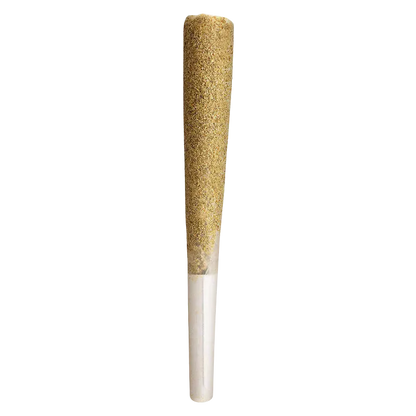 Vertical close-up of a single Pink Gas Shatter Double Infused PR 1 x 1 g pre-roll with a tapered, kief-coated cone and white paper filter against a white background