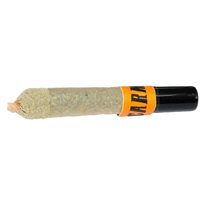 Horizontal close-up of a kief-coated joint with a black tip and orange label reading the brand on the Straight Cash Homie Ceramic Tip Infused PR 1 x 1 g.