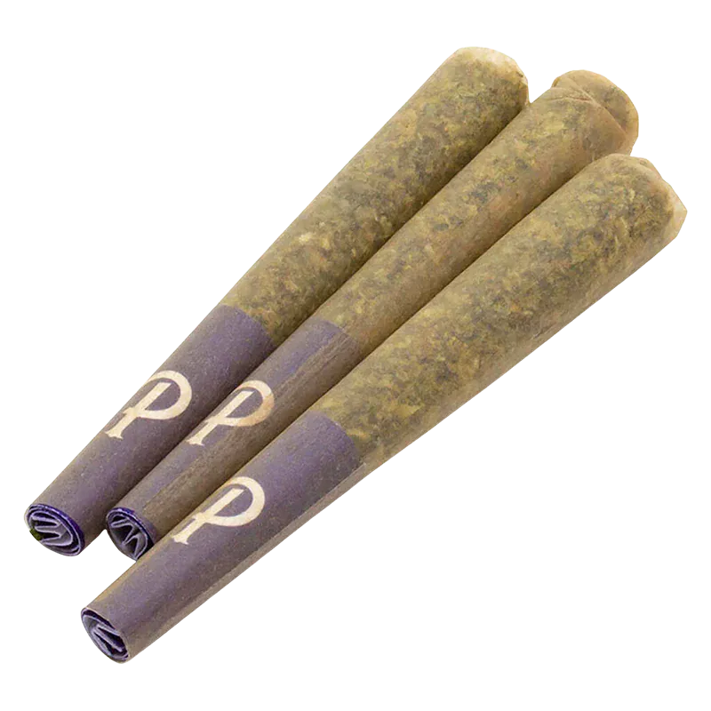 Angled close-up of three tapered Ultra Hi Infused PR 3 x 0.5 g pre-rolls with purple paper tips arranged in a fan on a white background
