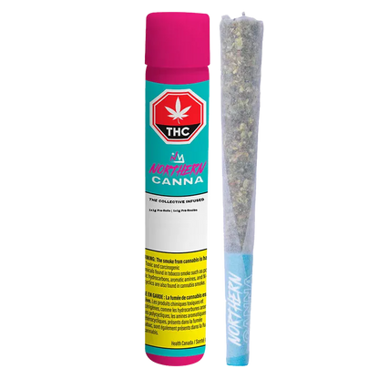 Straight-on product shot of a teal and pink tube next to a cone pre-roll, labeled "The Collective Infused PR 1 x 1 g" with visible THC emblem.
