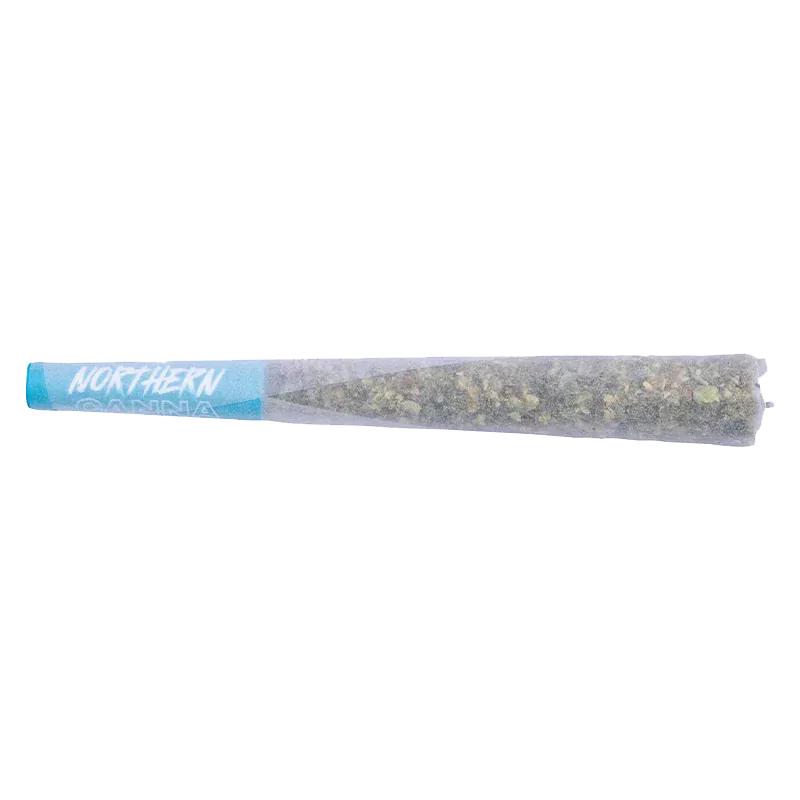 Side view of a rolled cone with a blue tip showing "Northern" text, labeled The Collective Infused PR 1 x 1 g, on a white background.